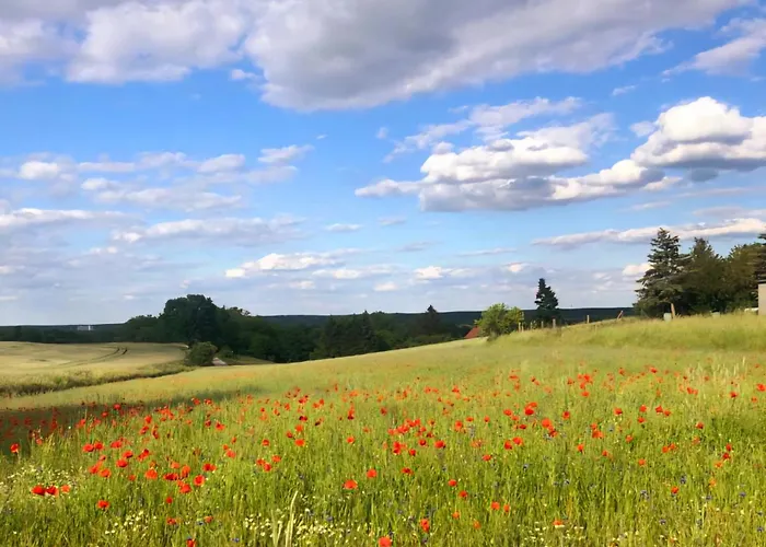 Gerda & Heinz 別荘 *